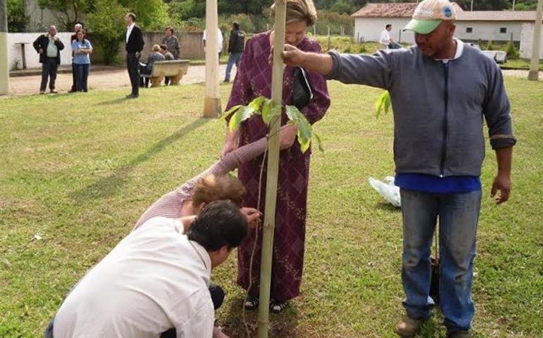 Programa ?Árvore na Praça? levou mudas de ipês à Praça Mário Peres Ramos