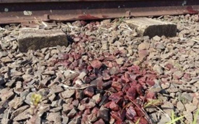 'Ele está bem', diz avó de garoto que teve perna decepada ao cair de trem