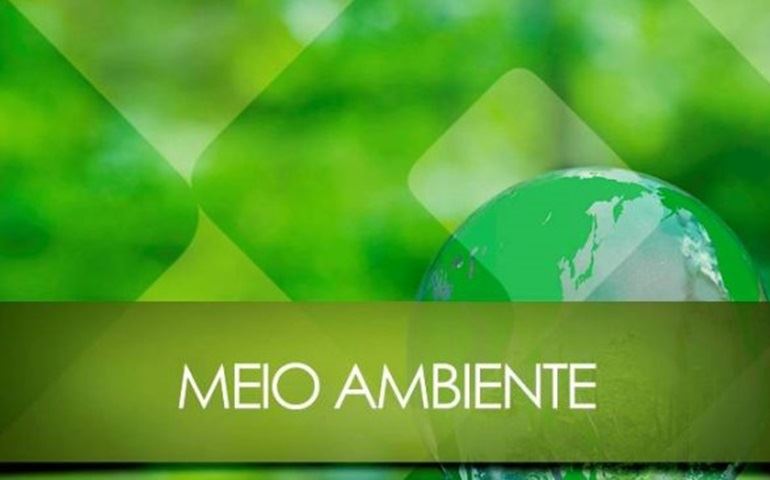 Barracos são retirados de Área para a Preservação Permanente