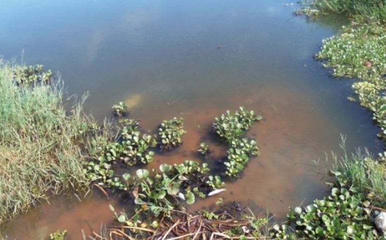 Mesmo sendo proibido pescar no Lago Berta Banwart ? Brabancia, pessoas continuam desrespeitando.