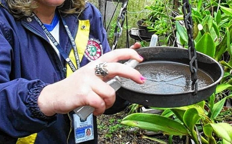 Botucatu já tem 229 casos de dengue