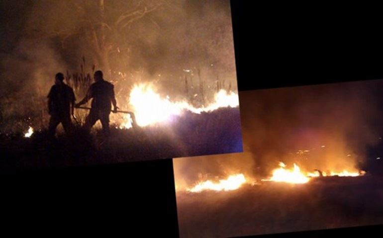 Incêndio destroi área nativa do Parque das Cascatas