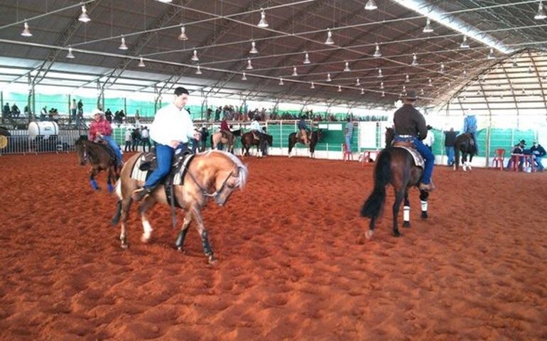 Abertas inscrições para o 37º Campeonato Nacional do Cavalo Quarto de Milha