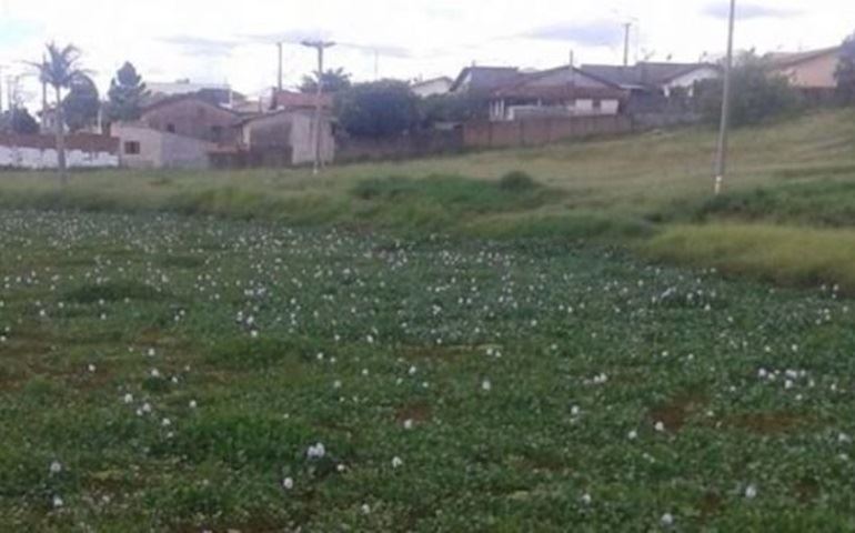 Recuperação do Lago Bertha Bannwart começa na próxima semana