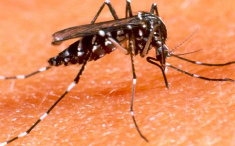 Saúde confirma o 1º caso de zika vírus em Botucatu