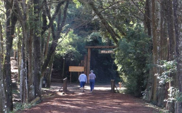 CORRIDA ECOLÓGICA NO HORTO FLORESTAL DE AVARÉ