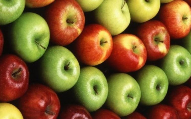4 Usos e Benefícios Inesperados da Maçã para Você Aproveitar