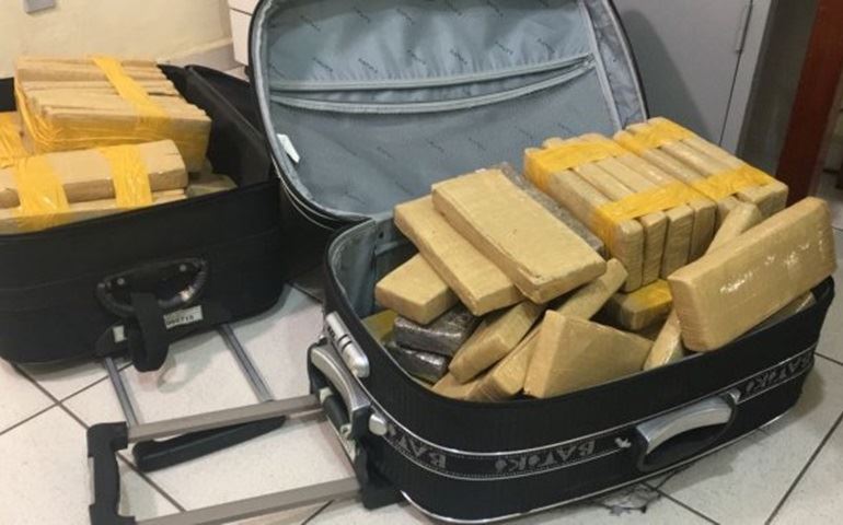 Passageiros de ônibus são flagrados com malas cheias de maconha em rodovia