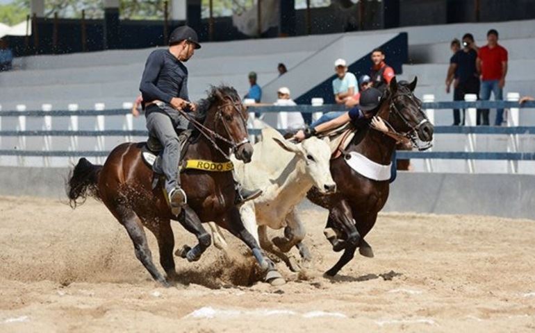 ABQM emite nota sobre aprovação de projeto que prevê regras para os Esportes Equestres