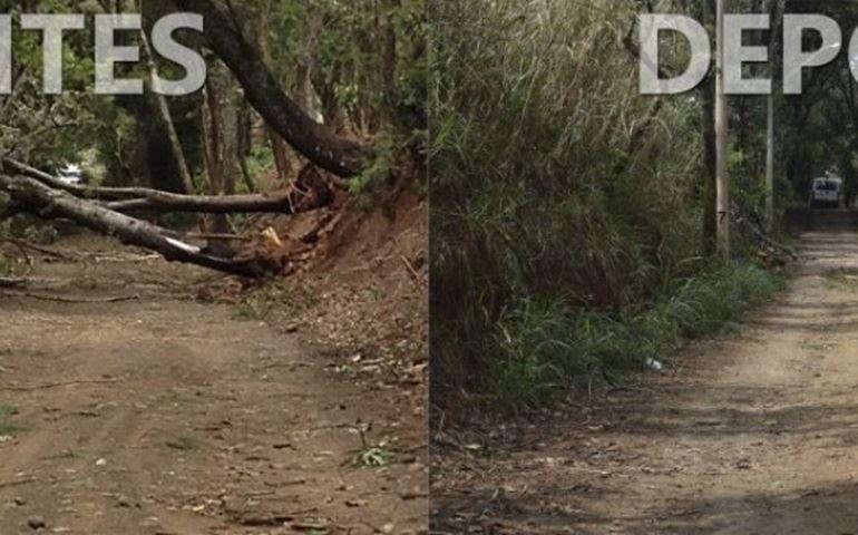 Prefeitura de São Manuel age rápido após temporal