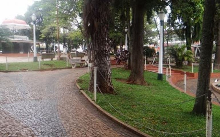 Pinheiro com risco de queda será removido do Largo São João