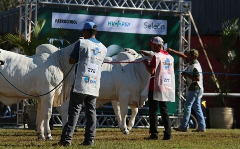 Exponel Avaré 2018: o maior show da pecuária paulista apresenta muitas novidades