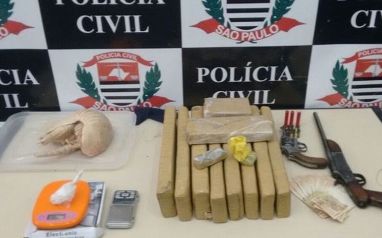 Pai e filho são detidos com tabletes de maconha, armas e tatu congelado