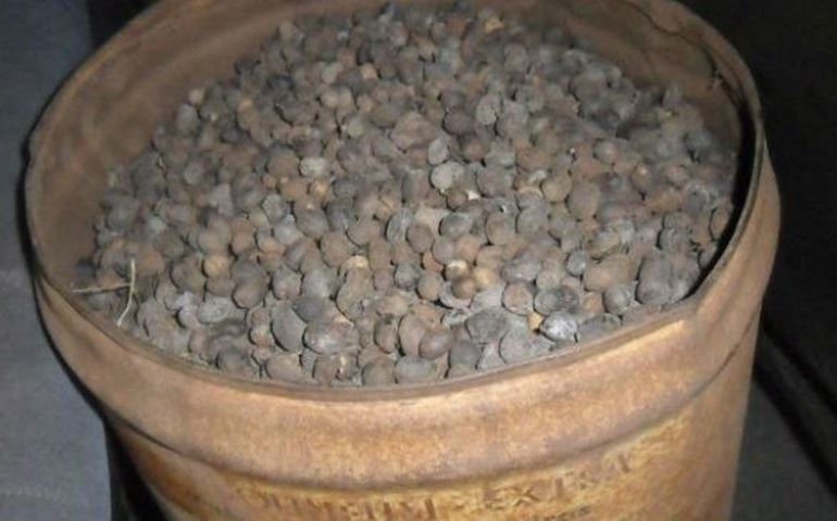 Três homens são presos por furtar café de sítio em Itaí