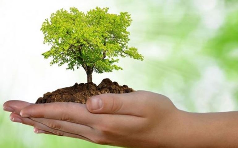 MEIO AMBIENTE: FONTE DE VIDA