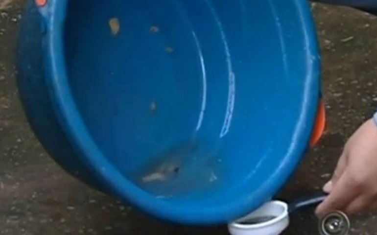 Confirmações de dengue neste ano já superam total de 2014 em Avaré