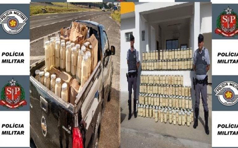 POLÍCIA MILITAR RODOVIÁRIA APREENDE CARGA COM 334 Kg DE PALMITO JUSSARA
