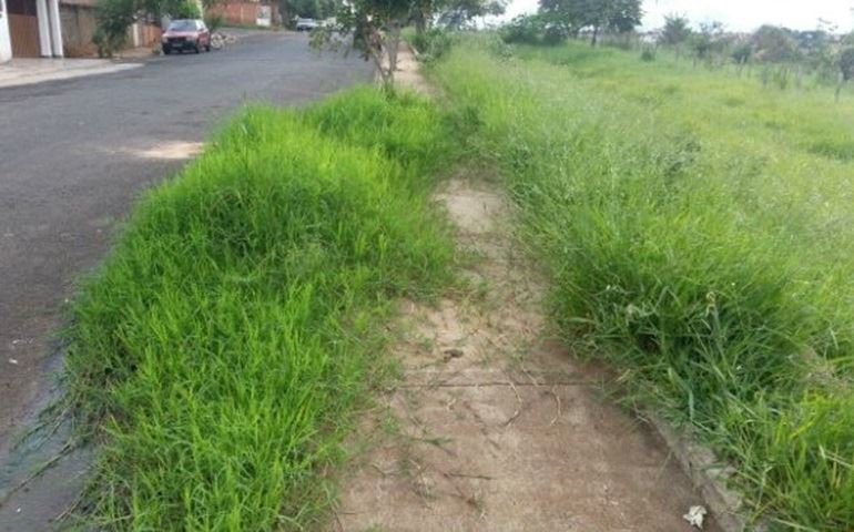 Moradores de Avaré reclamam de áreas tomadas por mato