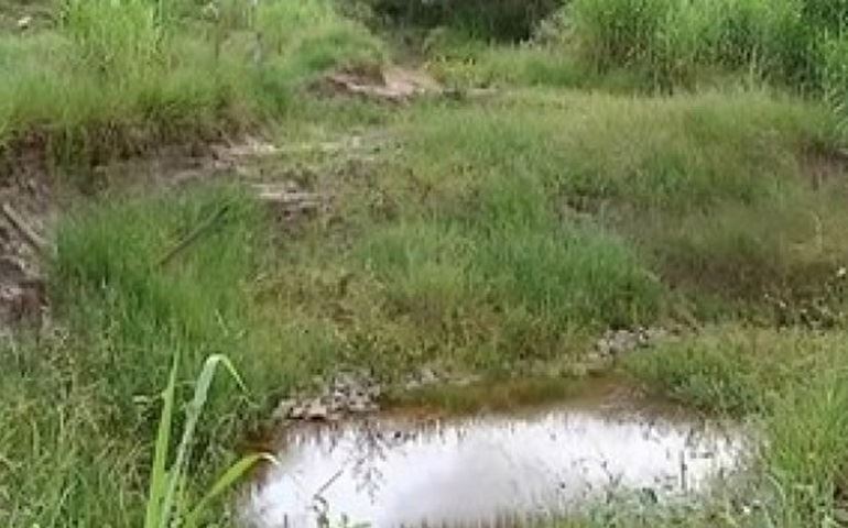 Atraso na construção de ponte ainda atrapalha produtores rurais em Tejupá