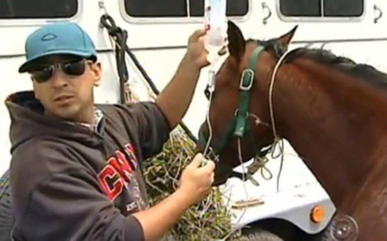 COMEÇA HOJE O EVENTO DA RAÇA QUARTO DE MILHA EM AVARÉ 1,7 MIL CAVALOS.
