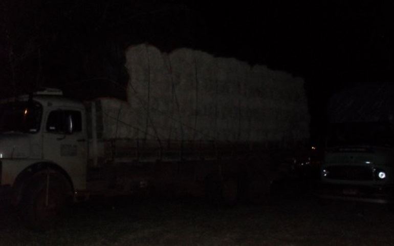 CRIADORES DE QUARTO DE MILHA PROMETEM INTERDITAR RODOVIA NOVAMENTE.