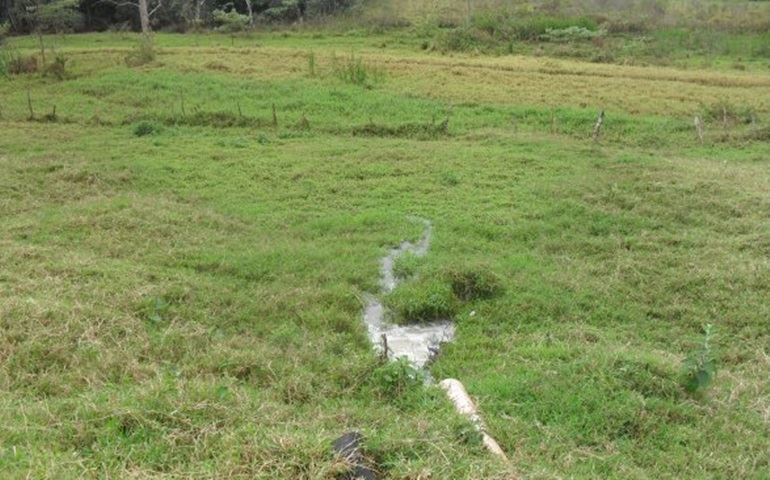 ESGOTO DA SABESP JORRANDO NO CÓRREGO DO CAMARGO