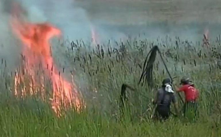 Incêndio atinge área de preservação ambiental em Taquarituba
