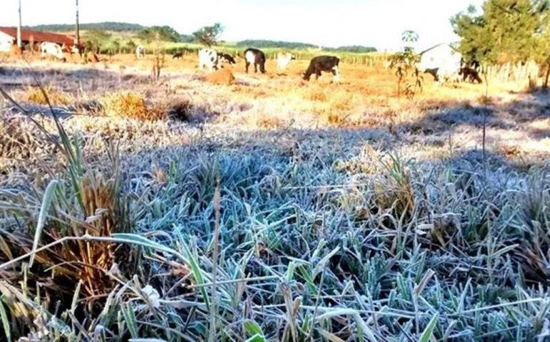 Frio extremo na região