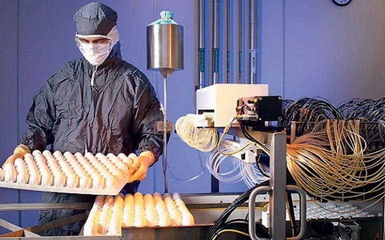 Butantã usa 54 milhões de ovos para produzir imunizante