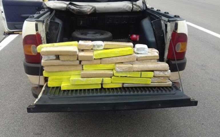 POLICIAMENTO RODOVIARIO APREENDE APROXIMADAMENTE 50 Kg  DE MACONHA
