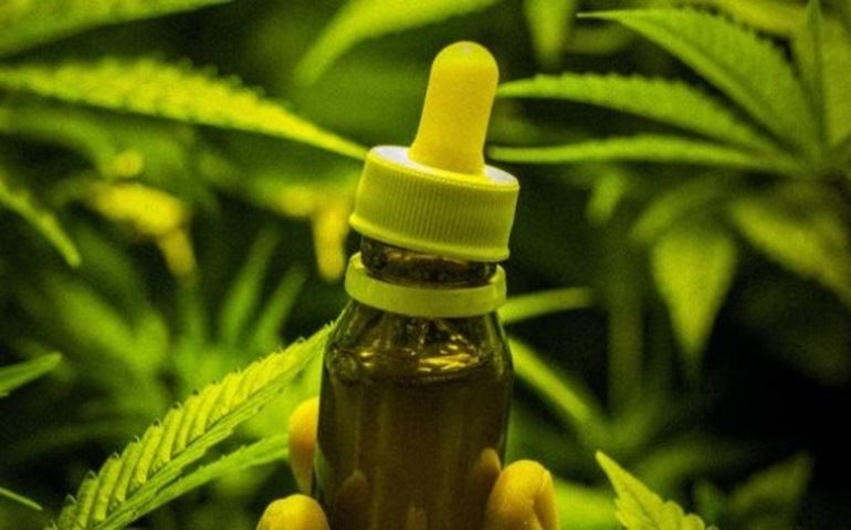 Anvisa libera medicamentos com canabidiol