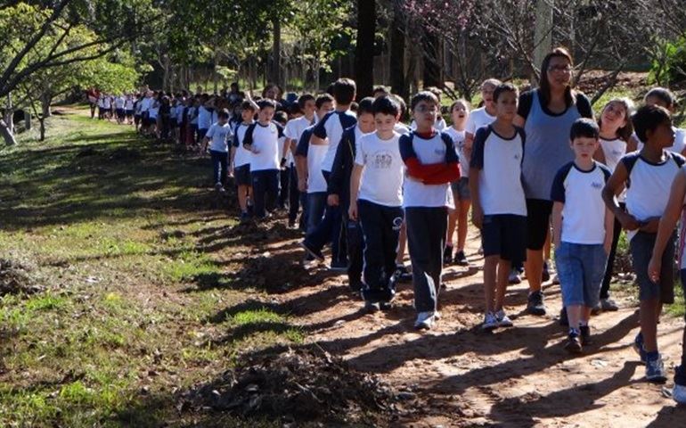 ESTAMOS NA SEMANA DO MEIO AMBIENTE.
