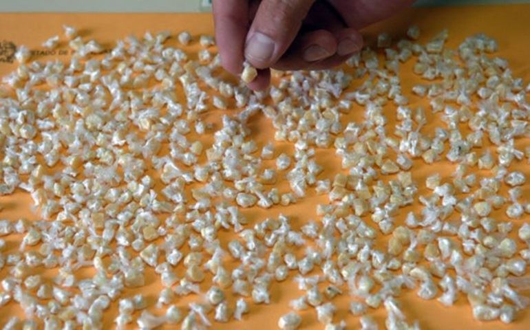 Dupla é presa com mais de 90 pedras de crack em Bernardino de Campos