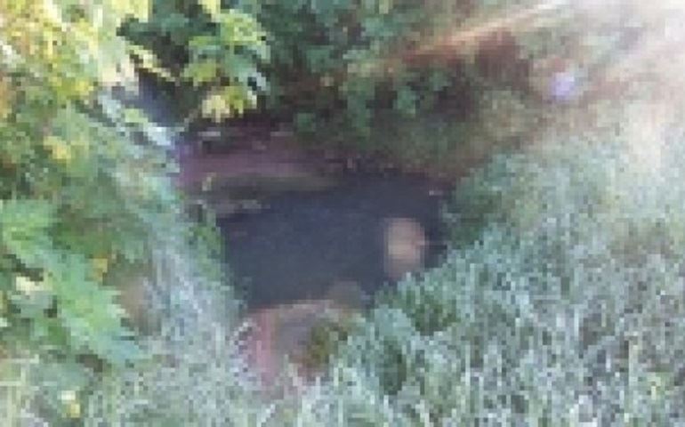 Secretaria de Obras de Avaré foi notificada pela Vigilância Sanitária.