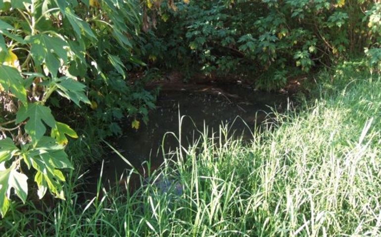 Moradores do Bairro PLIMEC estão se sentindo ignorados pelo Prefeito Municipal.