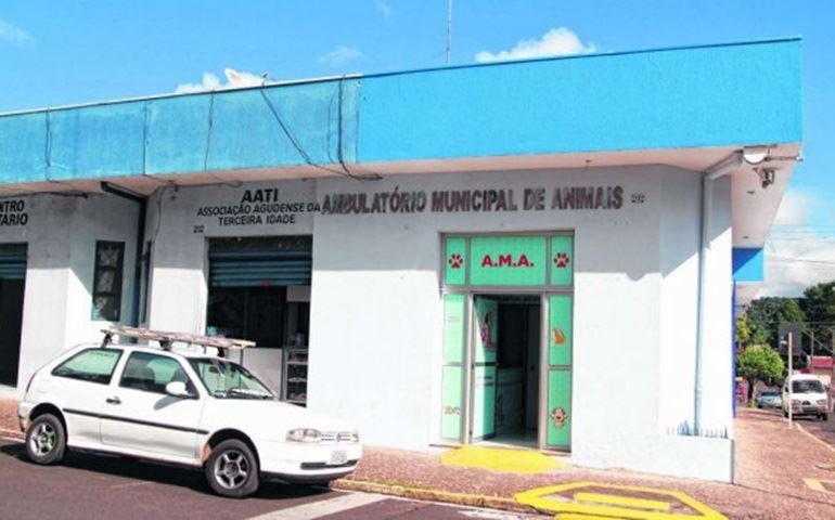 Animais doentes têm clínica pública