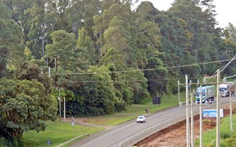 Secretaria do Meio Ambiente denuncia possível Crime Ambiental no Royal Park
