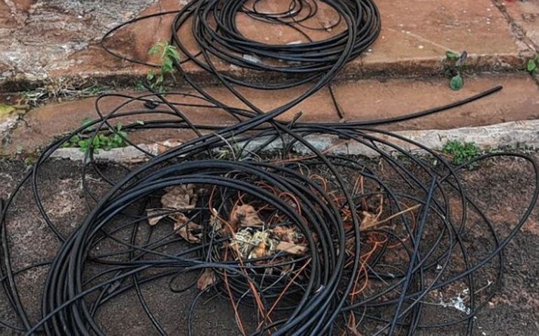 Lavrador é preso acusado de furtar cabos telefônicos em Pederneiras