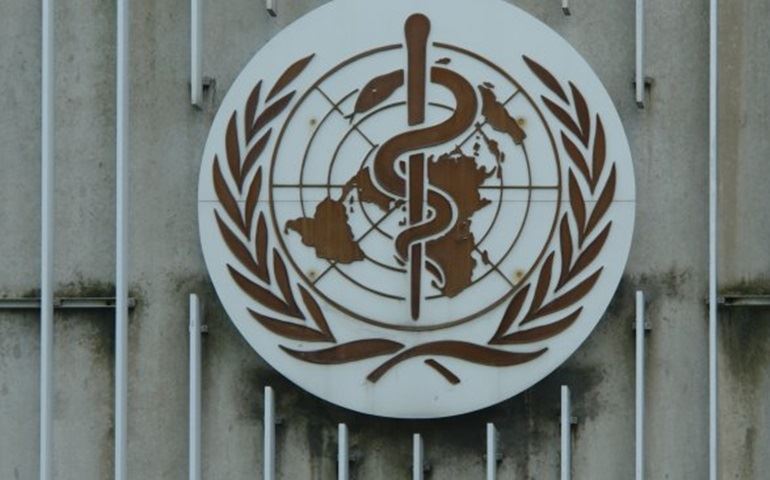 OMS alerta que vacina contra vírus Zika pode chegar tarde demais