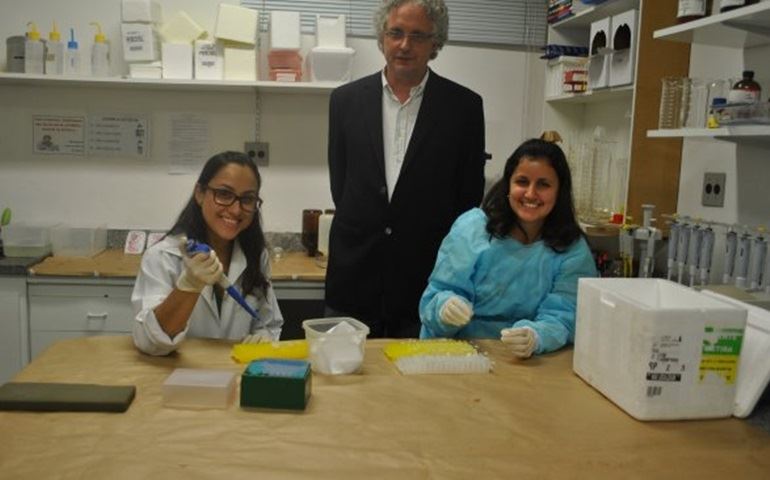 ALECRIM UMA ESPERANÇA CONTRA INFARTOS - UNESP