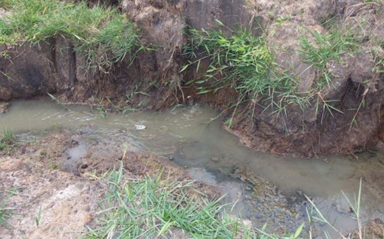Esgotos in natura vazando no Lago da Brabância.