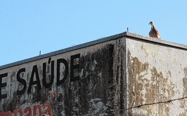 Tecnologia consegue afastar pombos de unidades de saúde