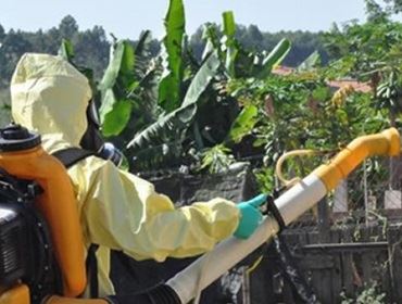 Dengue em Botucatu chega a 38 casos positivos