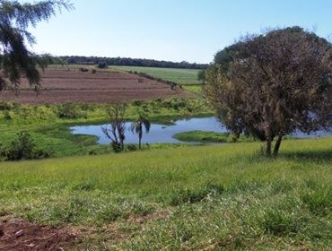  Mais um Crime  Ambiental na Na terra do Verde da água e do sol. ?Avaré?
