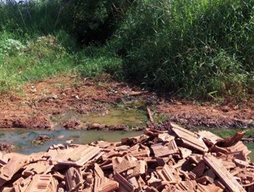 Esgoto da Sabesp caindo no Horto Florestal