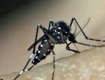 Casos de dengue saltam de 2 para 27 em menos de uma semana em Avaré