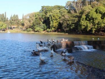 Concorrência para exploração da lanchonete do Horto foi adiada