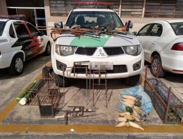 Polícia Ambiental apreende armas e armadilhas utilizadas para caça de animais silvestres em Itapeva