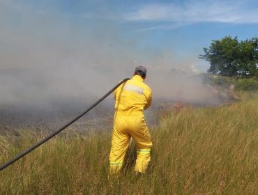 Incêndio em área de pastagem mobiliza Corpo de Bombeiros em Avaré