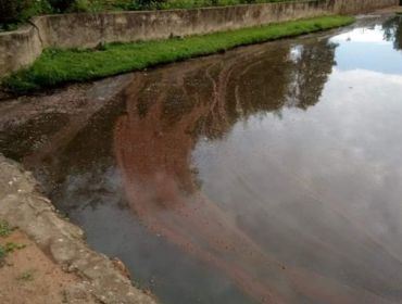 Poluição no Horto Florestal chama a atenção
